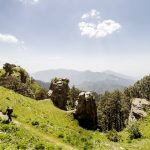 Shali Tibba Trek and Sightseeing in Shimla, Himachal Prades